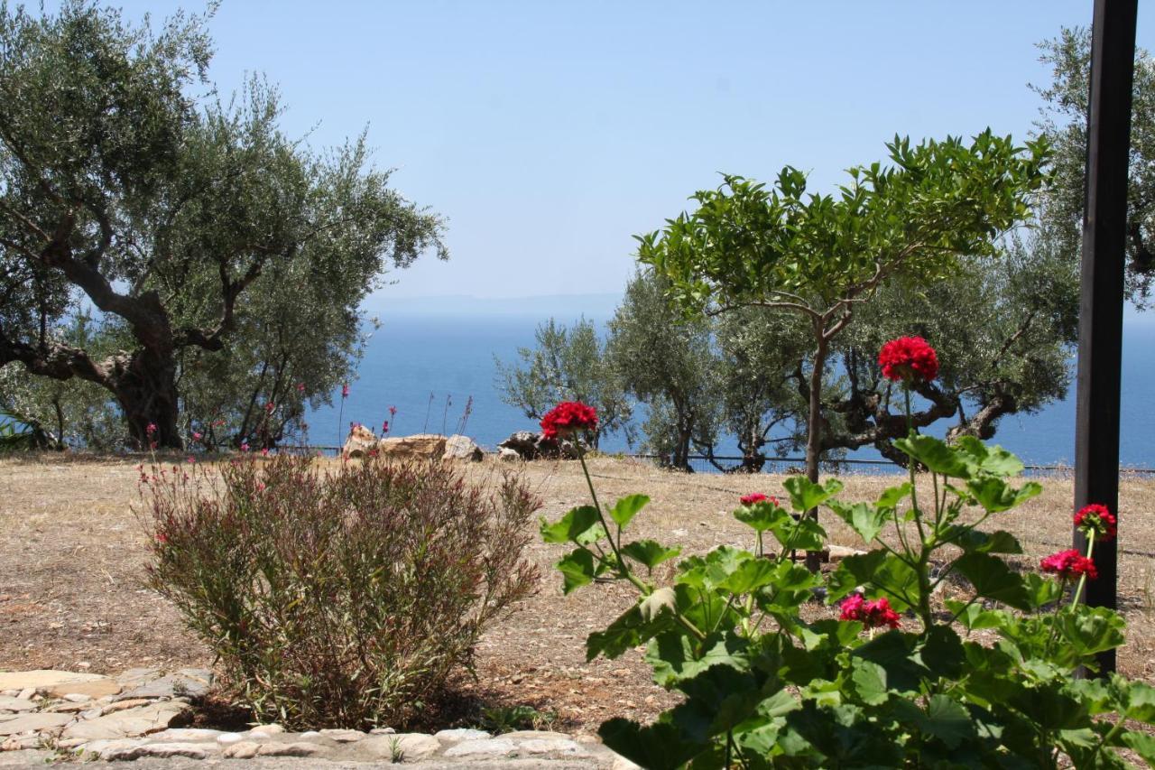 Sea And Mountain View Villa Kalamata Eksteriør billede