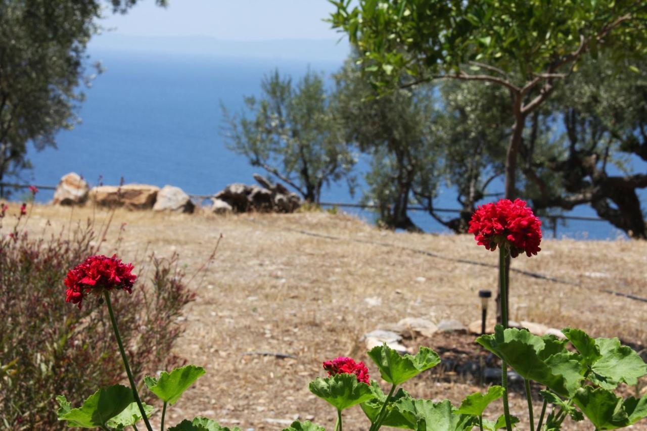 Sea And Mountain View Villa Kalamata Eksteriør billede